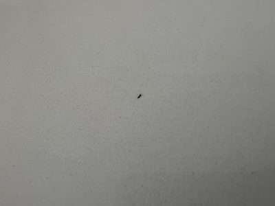 Quartz Worktop Drill Fill Colour Correction Scaled | Looks like a piece of debris