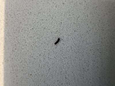 Quartz Worktop Drill Fill Colour Correction Scaled | On close inspection. its clearly does not belong!